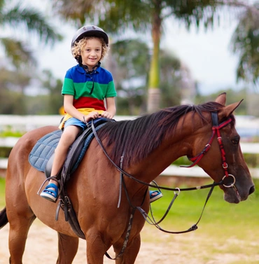 Reiten für die Liebe zu Pferden